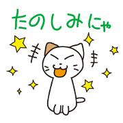 Feral Cat stories