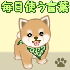 Puppy of Mameshiba greets 2