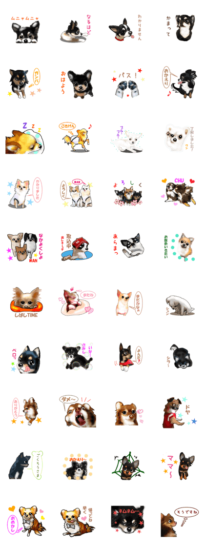 -Chihuahuas-ver.5