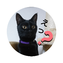 rulu_stamp_2