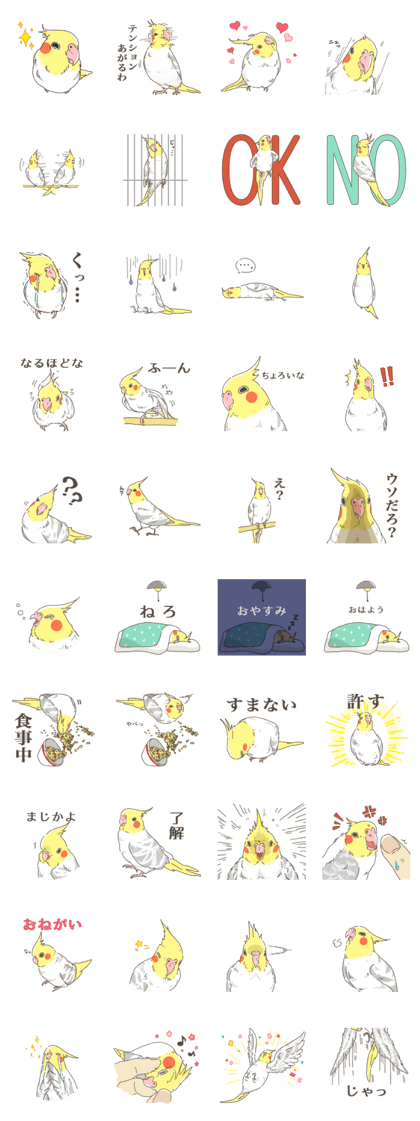 okame no BISU