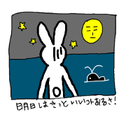 Rabbit usagino usato