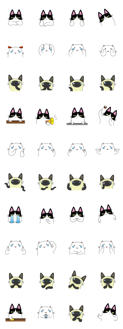 Cat You