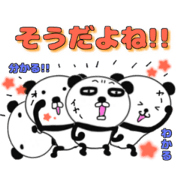 panda+4