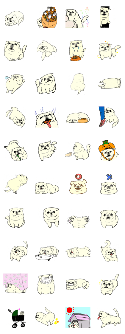 white pekingese