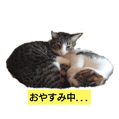 Aoi_20200703155744