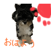 miruku_20200703183948