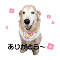 hana_20200703201300