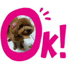 YUKARI_20200703191336