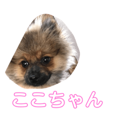 Rei_20200703181116