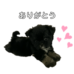 chisa_20200703185932