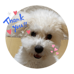 cottonton_20200703223059