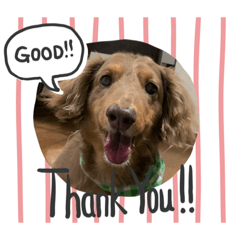 Asuka_20200704075533