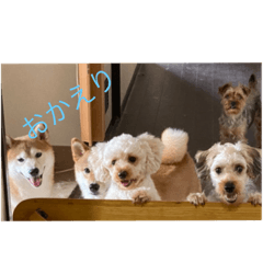 saori_20200703233603