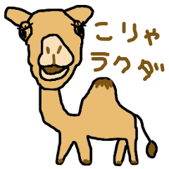 Miscellaneous Camel