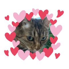 akiko_20200704111137