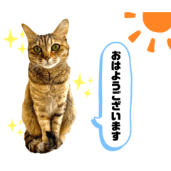 nonnyans_20200703221841
