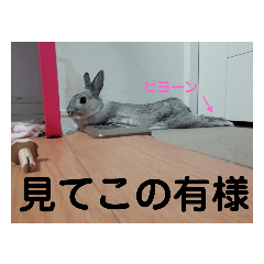 mizuki_20200704122701