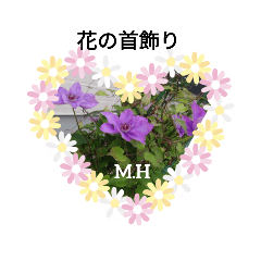 miyoko_20200704113307