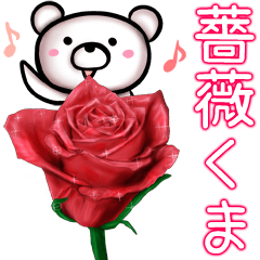 rose bear