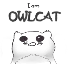 OwlCats journey starts