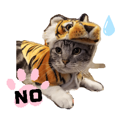 ayumi_20200704041859