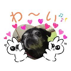 mochi_20200704140026