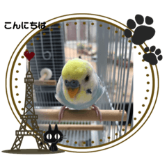 Kurumi_20200704151018