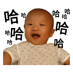 小毛球有話