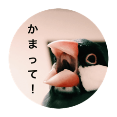 saya_20200704115148