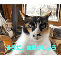rina_20200704144638