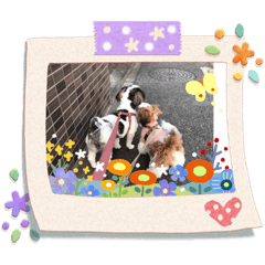 toyo.c_20200704162829