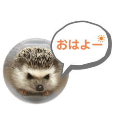 tuntun Sticker
