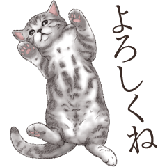 Strange pose cat[ASH]