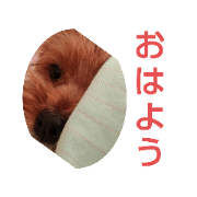 chip_20200704193157