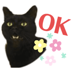 Basicりいたまん Line スタンプ Line Store