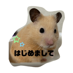 junko_20200705084848