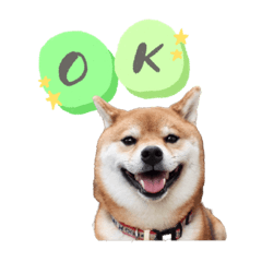 ayumi_20200705093644