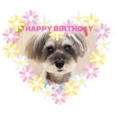 Asuka_20200704193344