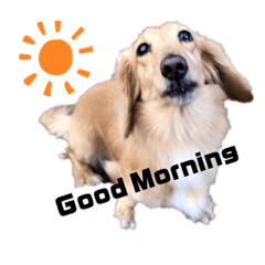 Cherry_20200704182730