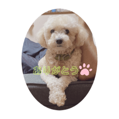 HIKARI_20200704220340