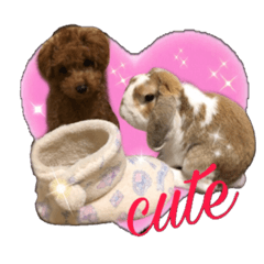 yuina_20200704215854