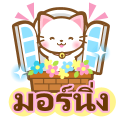 White&pink colored Cat1-Thai-