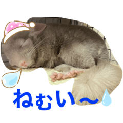 RIHO_20200705004050