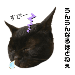 うっかり りいたまん Line スタンプ Line Store