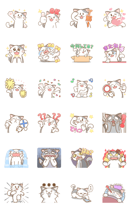 LINE Creators' Stickers - Chonky Cat Animated