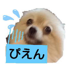 kurumi_20200705134150