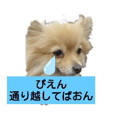 kurumi_20200705135336