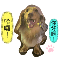 大理石臘腸樂樂（2）