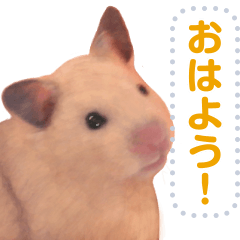Message of hamsters